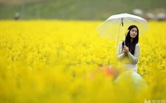 国产精品人妻无码免费久久久